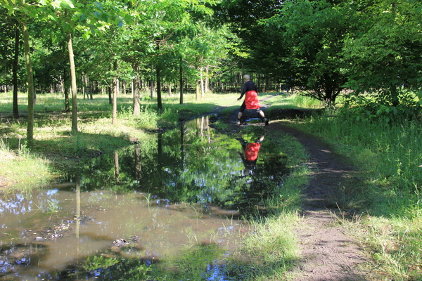 OMGEVING HOUTVENNE