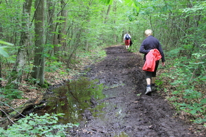 OMGEVING HOUTVENNE