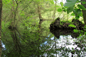 OMGEVING HOUTVENNE