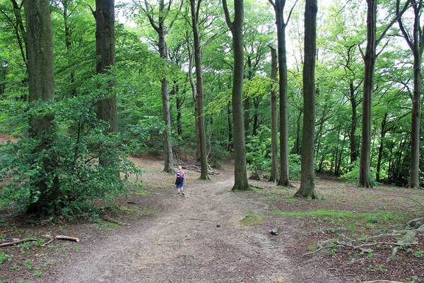 OMGEVING HOLSBEEK-LINDEN