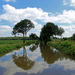 OMGEVING HOEVENEN