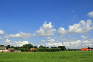 OMGEVING WORTEL-HOOGSTRATEN