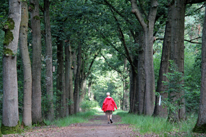 OMGEVING WORTEL-HOOGSTRATEN