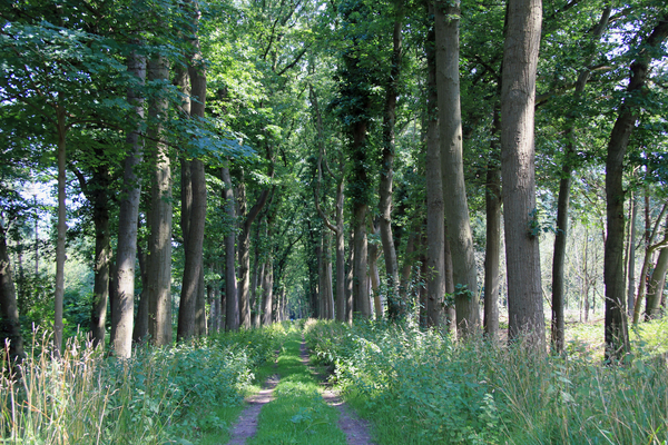 OMGEVING WORTEL-HOOGSTRATEN