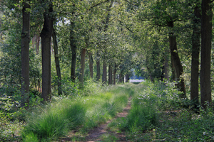 OMGEVING WORTEL-HOOGSTRATEN