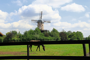 OMGEVING ZANDHOVEN