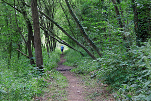 OMGEVING ZANDHOVEN