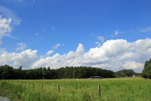 OMGEVING ZANDHOVEN