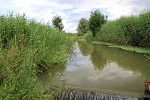 OMGEVING ZANDHOVEN