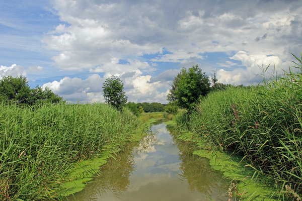 OMGEVING ZANDHOVEN