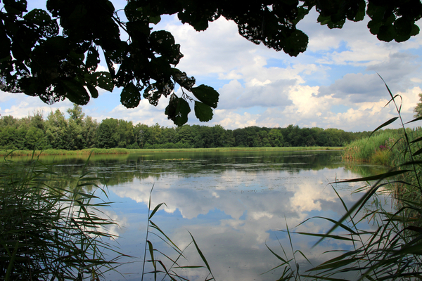 OMGEVING ZANDHOVEN