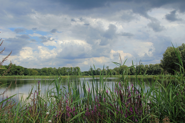 OMGEVING ZANDHOVEN