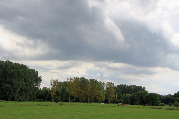 OMGEVING ZANDHOVEN