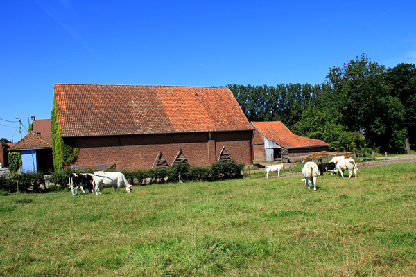OMGEVING NEIGEM