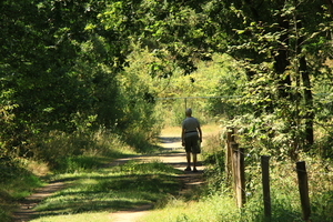 OMGEVING BERINGEN