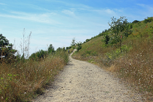 OMGEVING BERINGEN