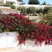 Moraira11