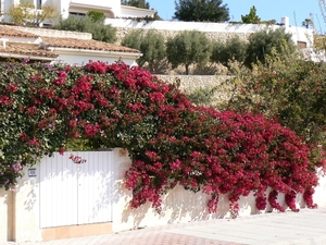 Moraira11