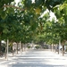 Moraira31