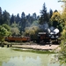 10_16_4_ Redwoods Park (7)