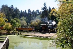 10_16_4_ Redwoods Park (7)