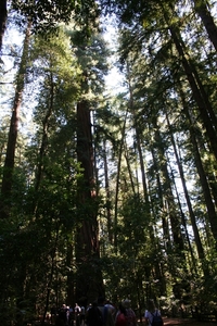 10_16_4_ Redwoods Park (18)