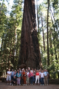 10_16_4_ Redwoods Park (33)