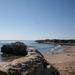 10_16_5 Natural Bridges State Beach Santa Cruz (6)