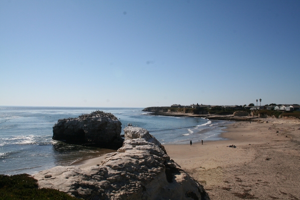 10_16_5 Natural Bridges State Beach Santa Cruz (6)