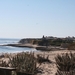 10_16_5 Natural Bridges State Beach Santa Cruz (5)