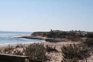 10_16_5 Natural Bridges State Beach Santa Cruz (5)