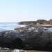 10_16_5 Natural Bridges State Beach Santa Cruz (8)