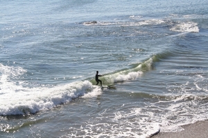 10_16_5 Natural Bridges State Beach Santa Cruz (9)