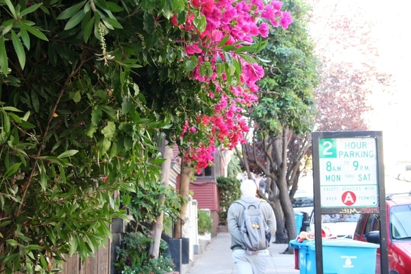 10_18_3 Lombard Street (2)