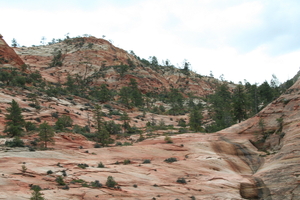 10_13_6 Zion Park (16)