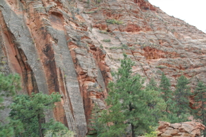 10_13_6 Zion Park (20)