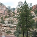 10_13_6 Zion Park (21)