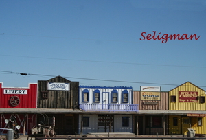 10_11_3 Seligman (1)