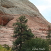 10_13_6 Zion Park (6)