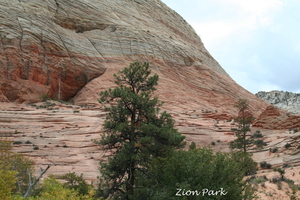 10_13_6 Zion Park (6)