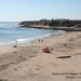 10_16_5 Natural Bridges State Beach Santa Cruz (4)