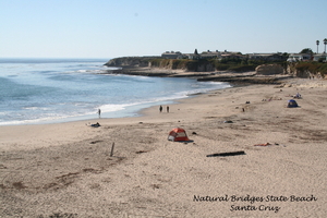 10_16_5 Natural Bridges State Beach Santa Cruz (4)