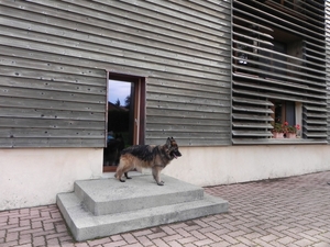 Bajka op het terras