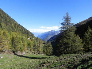 Col de la Forclaz