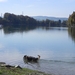 Lac de la Gruyre