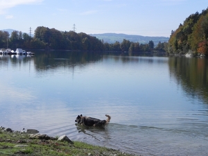 Lac de la Gruyre