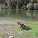 Lac de la Gruyre