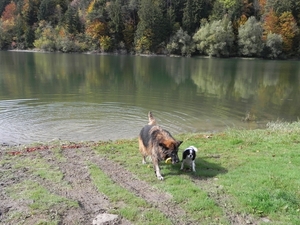 Lac de la Gruyre