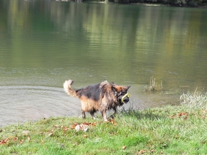 Lac de la Gruyre