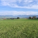Lieffrens